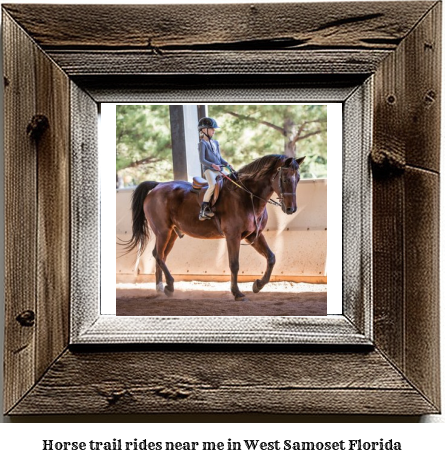 horse trail rides near me in West Samoset, Florida